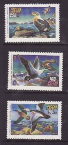 Russia-Sc#6155-7- id28-unused NH set-Ducks-Birds-1993-
