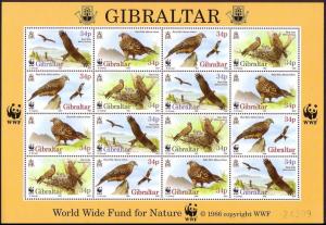 Gibraltar Birds WWF Red Kite Sheetlet of 4 sets SG#784-787 SC#716 a-d MI#774-777