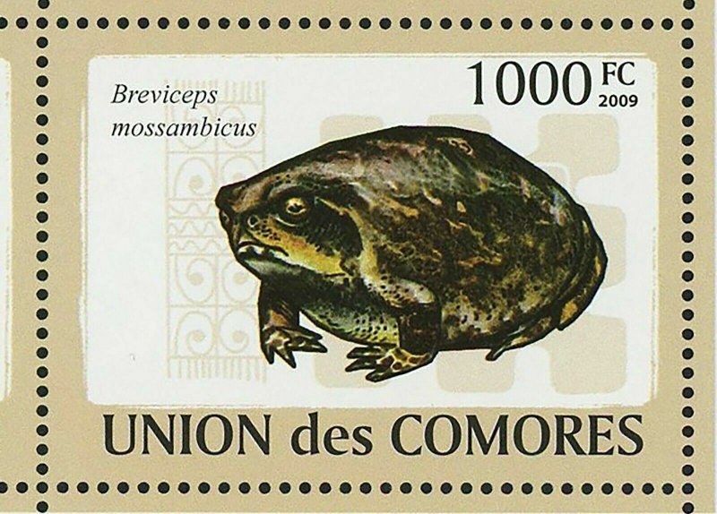 Frogs Stamp Xenopus Laevis Mantella Aurantiaca Pyxicephalus S/S MNH #2163-2168 