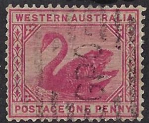 WESTERN AUSTRALIA 73 USED BIN $1.00 SWAN