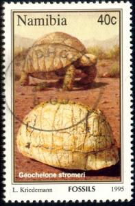 Fossil, Geochelone Stromeri, Namibia stamp SC#779 used