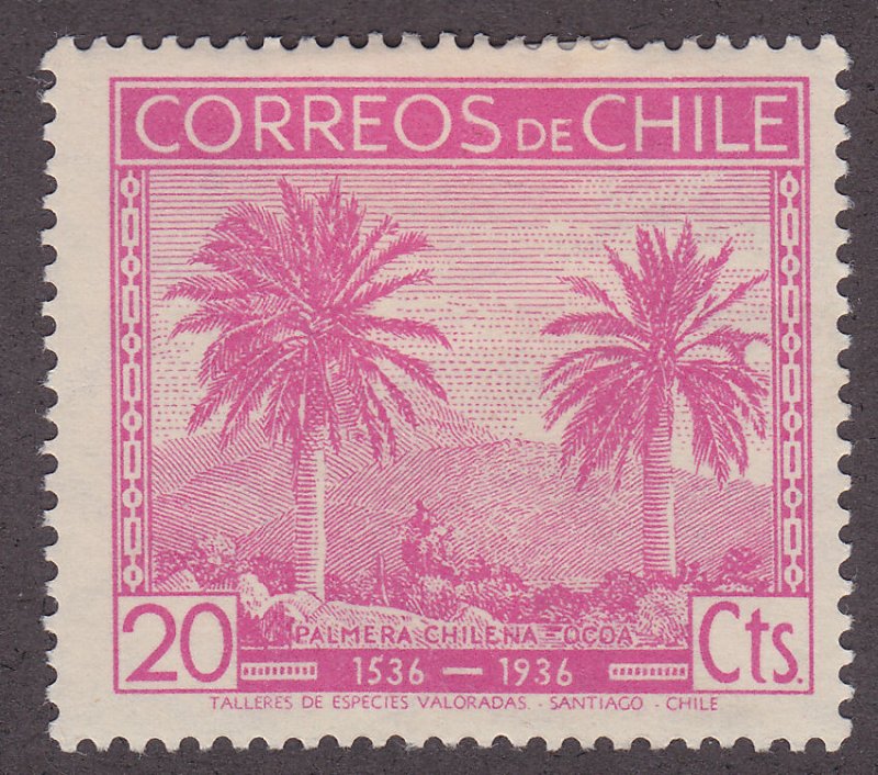 Chile 188 Coquito Palm Trees 1936