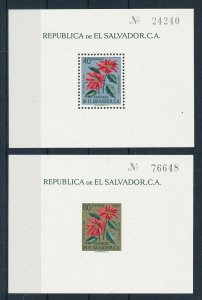 [116334] El Salvador 1960 Flora flowers blumen Perf. And Imperf. Sheet MNH