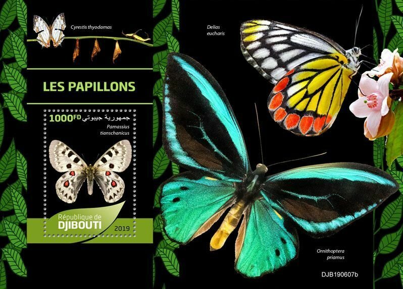 Z08 IMPERF DJB190607b Djibouti 2019 Butterflies MNH ** Postfrisch