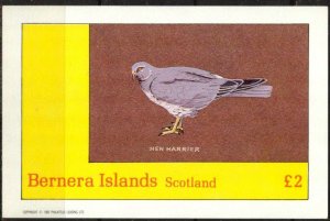 {B125} Bernera Scotland  Birds (7) Hen Harrier S/S 2£ MNH Cinderella !!