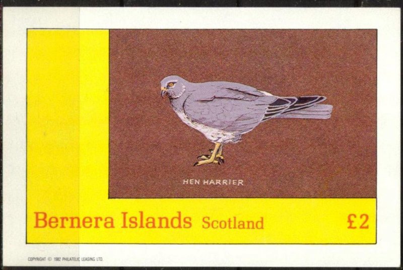 {B125} Bernera Scotland  Birds (7) Hen Harrier S/S 2£ MNH Cinderella !!