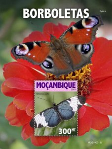 Mozambique 2019 MNH Butterflies Stamps Sapho Longwing Butterfly 1v S/S