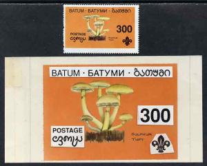 Batum 1994 Fungi - Sulphur Tuft 300r with Scout emblem, o...