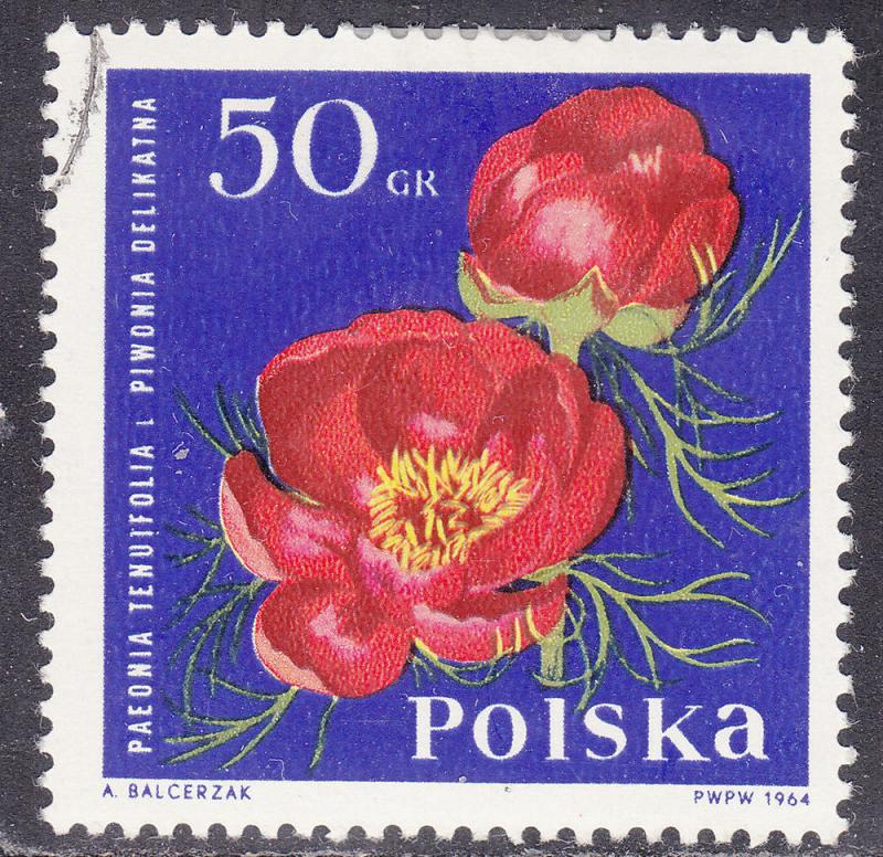 Poland 1282 Peony 1964