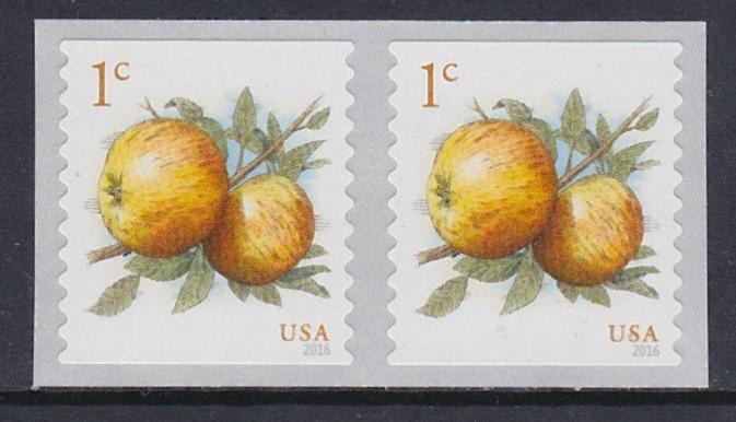 5037 Apples Pair  MNH