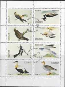 Eynhallow Scotland.  Birds and Ducks mini sheet.  used.