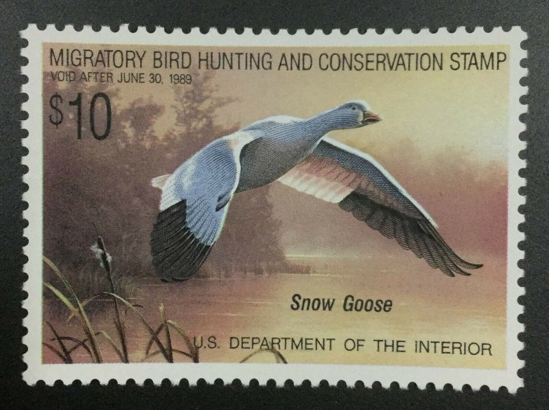 MOMEN: US STAMPS #RW55 DUCK MINT OG NH LOT #50166