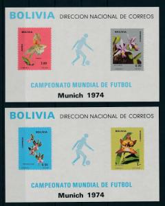 [17137] Bolivia 1974 Flowers Orchids World Cup Football Soccer MNH 2 S/S VF