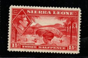 Sierra Leone Sc 175 1938 1 1/2d rose red harvesting rice & G VI stamp mint
