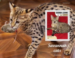 Sierra Leone - 2020 Savannah Cats - Stamp Souvenir Sheet - SRL200526b