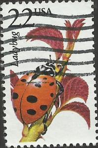 # 2315 USED LADYBUG