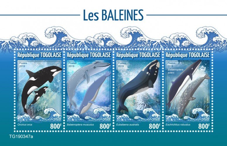 TOGO - 2019 - Whales - Perf 4v Sheet - MNH