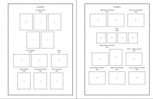 ALGERIA STAMP ALBUM PAGES 1924-2011 (165 PDF digital pages)