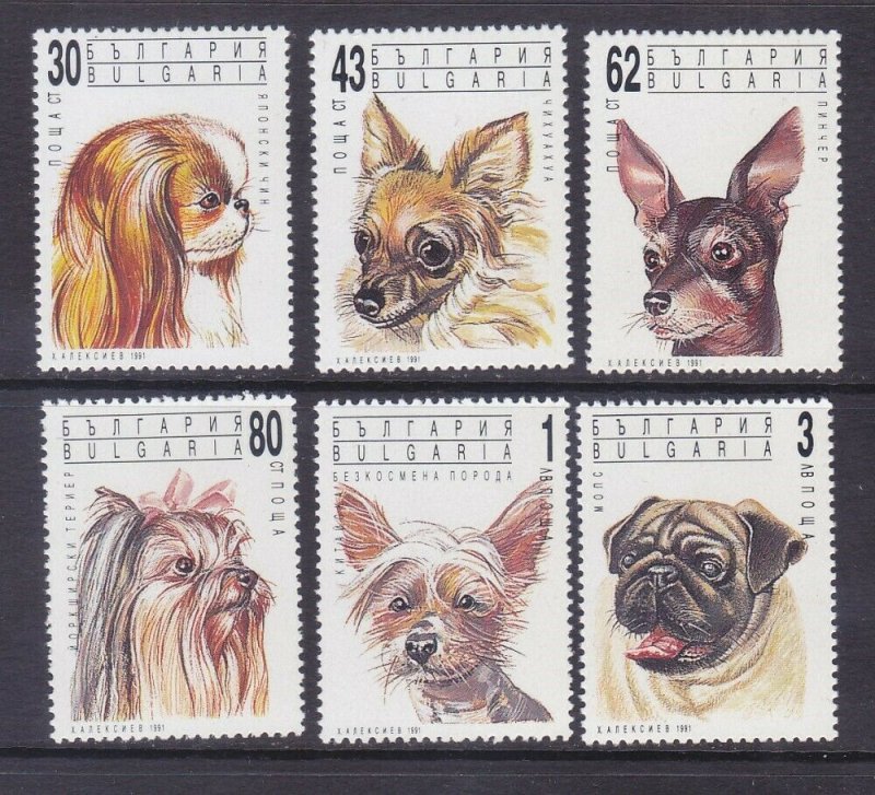 Bulgaria 3635-40 MNH 1991 Various Dogs Full Set of 6 Very Fine | Europe ...