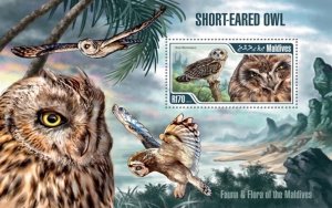 Maldives - 2013 Short-Eared Owl  Souvenir Sheet 13E-035