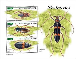 Chad - 2023 Insects, Spine-headed Bug, Beetle - 3 Stamp Sheet - TCH230117a