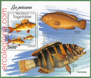 B1881 - TOGOLAISE - ERROR MISPERF Stamp Sheet - 2023 - Fishes, Marine Life-