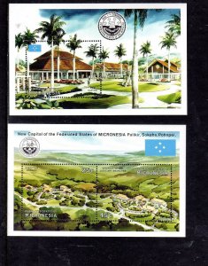 MICRONESIA #132-133 1991 NEW CAPITOL MINT VF NH S/S