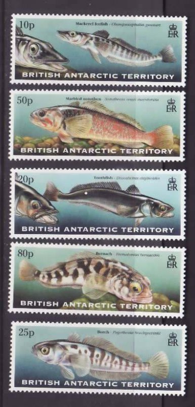 British Antarctic Territory-Sc#275-9 id9-sunused NH set-Fish-1999-   