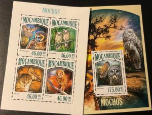 2013 Mozambique Owls 1 HB x 1v + 1 HB x 4v.  NHM-