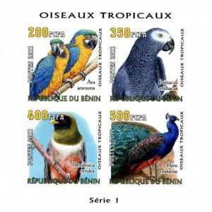 BENIN SHEET IMPERF BIRDS PARROTS