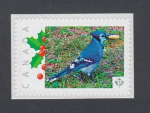 BLUE JAY = beautiful bird = postage stamp MNH Canada 2014 [pp9cb3/1]