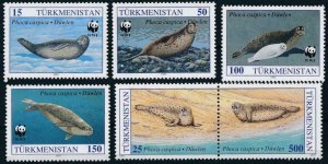 Turkmenistan MNH 34-8 Caspian Seals Marine Life WWF 1993