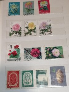 China collection in album