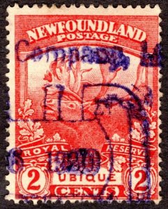 1919, Newfoundland 2c, Used, Sc 116