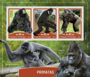 Sao Tome & Principe 2021 MNH Wild Animals Stamps Primates Chimpanzees 3v M/S