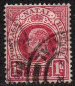 Natal Sc #102 Used