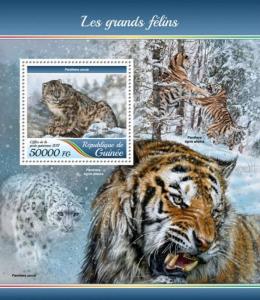 Guinea - 2017 Big Cats - Stamp Souvenir Sheet - GU17415b