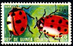 Insect, Beetle, Mariquita, Guinea Ecuatorial stamp used