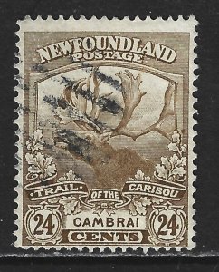 NEWFOUNDLAND - #125 - 24c TRAIL OF THE CARIBOU USED STAMP CAMBRAI