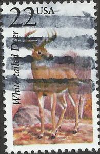 # 2317 USED WHITE-TAILED DEER