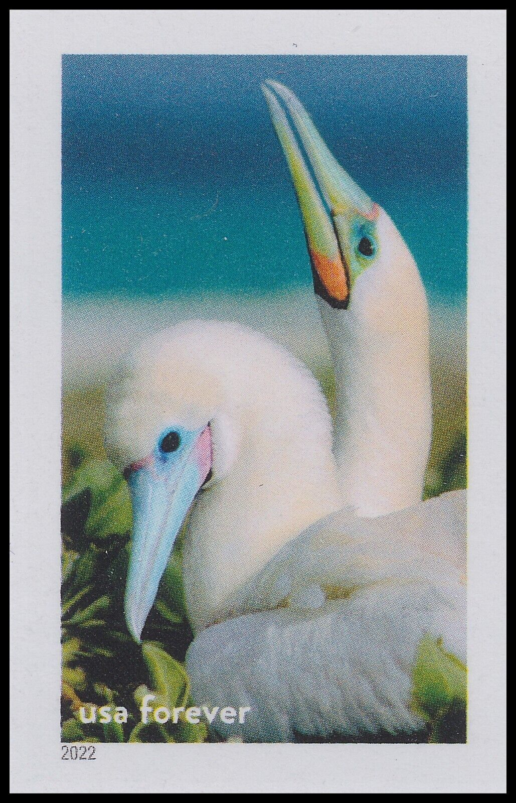 US 5713s National Marine Sanctuaries Boobies imperf NDC single MNH 2022