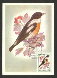 SOVIET UNION -RUSSIA- MC-MK-FAUNA-BIRDS-1984.