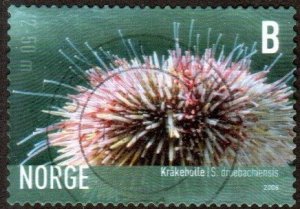 Norway 1484 - Used - (6k) Green Sea Urchin (2006) (cv $1.20)