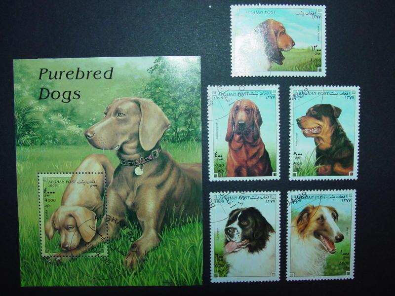 Afganistan 5 stamps + souvenir sheet  CTO. Dogs