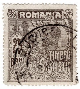 (I.B) Romania Revenue : Statistic 25b
