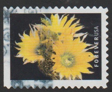 SC# 5352 - (55c) - Cactus Flowers: 3 of 10 - Used Single Off Paper