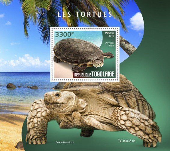 TOGO - 2019 - Turtles - Perf Souv Sheet - MNH