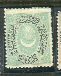 TURKEY; 1875-78 early classic issue fine Mint hinged 20pa. value