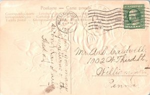 United States Pennsylvania Arch Spring 1909 doane 2/2  1854-1916  PC  Overstr...