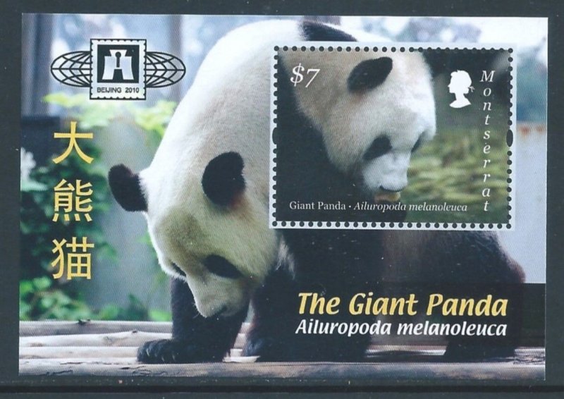 Montserrat #1255 NH Giant Panda SS